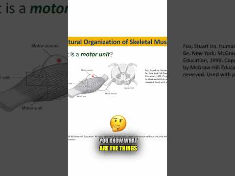 Motor Units Explained in a Nutshell