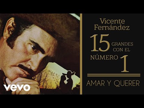 Vicente Fernández - Amar y Querer (Tema Remasterizado) [Cover Audio]