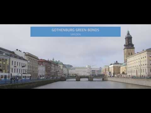 Financing for Climate Friendly Investment | Narrated by Nicholas Stern