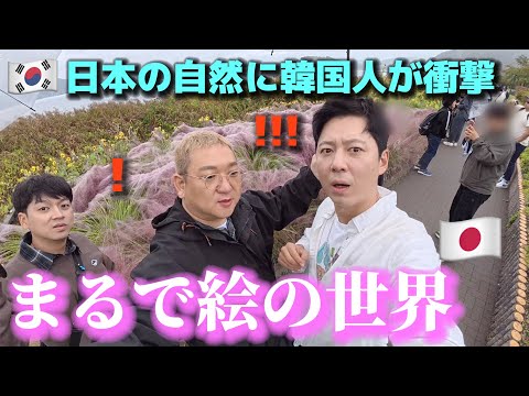 【日本は本当に別世界?!】初めて“自然が生み出した湖”を見た韓国人が衝撃!