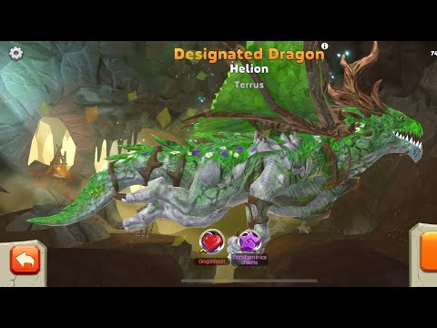 Helion Terrus New Live Tournament! - Hungry Dragon 🐉