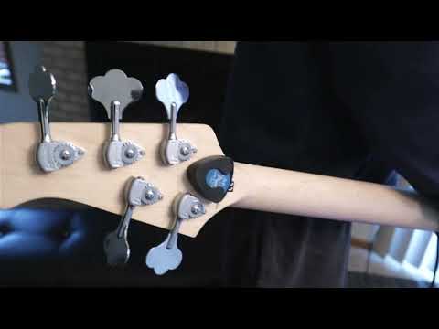 Lakland Skyline 55-02 Bass Review 1 Year Later