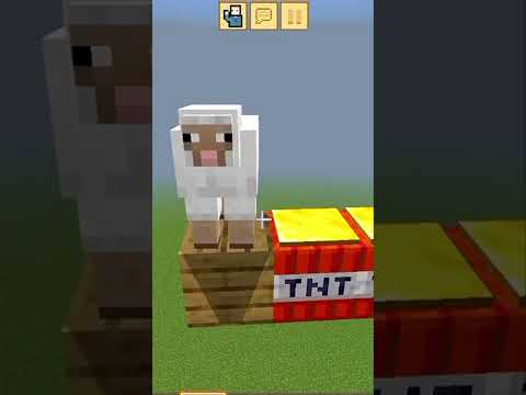 Insane Minecraft wolf vs sheep chase! Don't miss it!