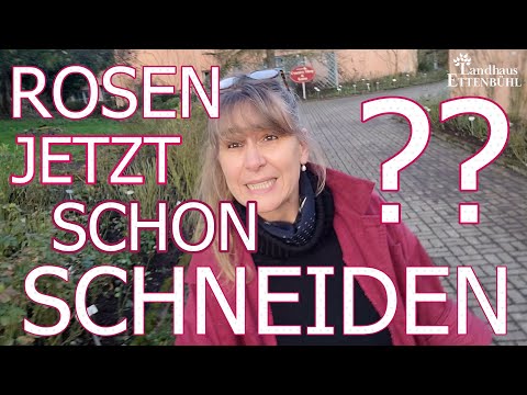 Rosen schneiden im Frühjahr 🌷✂️ - Teil 1