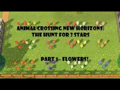 Animal Crossing New Horizons: The hunt for 3 stars | Part 1 - Flowers!