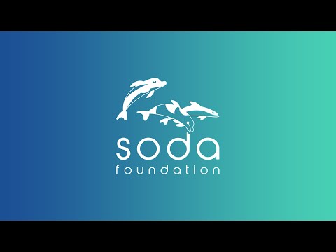 Autonomous data management framework for data mobility