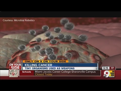 NKY company breeding microbes to eat cancers