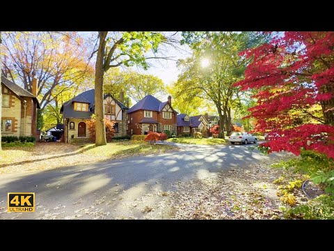 Beautiful AUTUMN Colors in Quiet Neighborhood of Old Toronto Homes