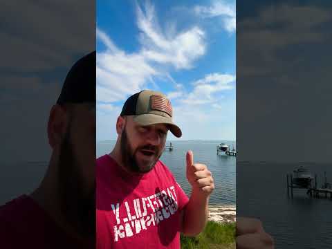 Here’s a pretty good reason… 2A ALL DAY #shortsvideo #shortsfeed  #guncontrol Thumbnail