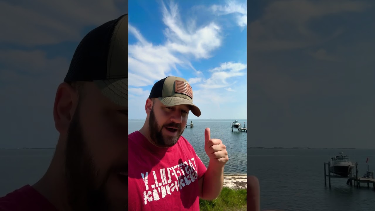 Here’s a pretty good reason… 2A ALL DAY #shortsvideo #shortsfeed  #guncontrol