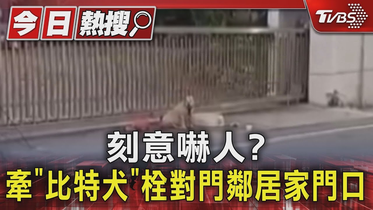 不給人進出？宮廟「牽比特犬」栓鄰居家門　律師這麼說...
