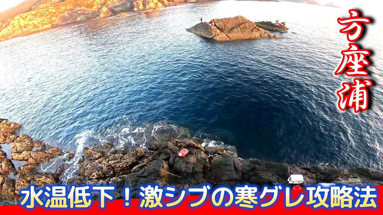 【寒グレ攻略】食わないサシエも取られない···そんなパターンの攻略法！ 方座浦/横島に挑む！