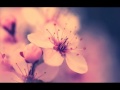 FOREVER YOUNG By Carol Parks Lyrics And Sub