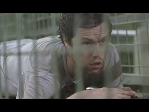 欲望に正直な物語は、いつだって最高だ / Canal+「Never underestimate the power of a great story」