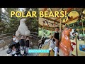 Detroit Zoo Family Adventure Polar Bear Carousel Fun Reptile House Family Travel Vlog Pt 3