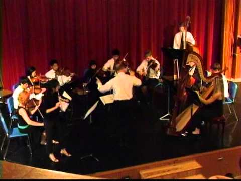 Lyon & Healy 85 Concert Grand (Extended Soundboard) 2004 - Mahogany image 10