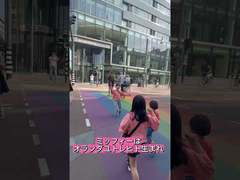 世界にここだけ！？ミッフィーの信号機を発見🐰🚦｜オランダ・ユトレヒト #shorts
