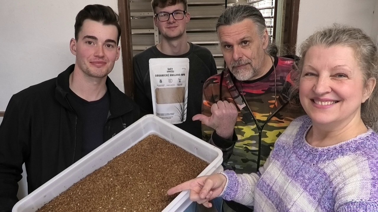 Video náhled