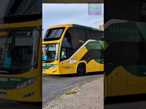 NANUQUE x BELO HORIZONTE - GONTIJO 23130