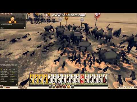 Elephants vs War Dogs Total War: Rome II