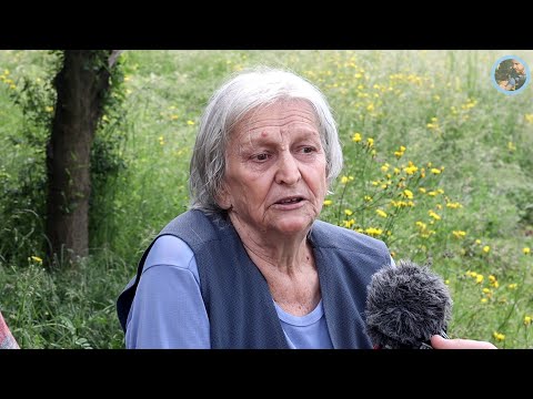 „Muževi u Njemačkoj, mlade cigaru u ruku i troše pare“