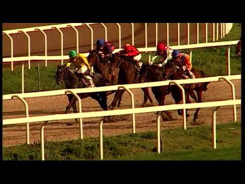 13/01/2023 - Corsa 2 - Premio Ramonti