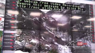 Սուր անկյուն 14.12.2014 - տեսանյութ 1 / Sur ankyun