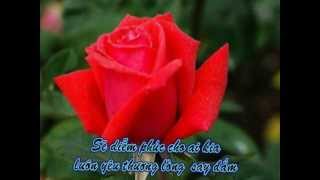 Million Roses - Alla Pugacheva - Phụ đề lời Việt