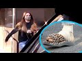 Sofia Vergara Won T Let An Injured Foot Stop Her From Shopping For Diamonds