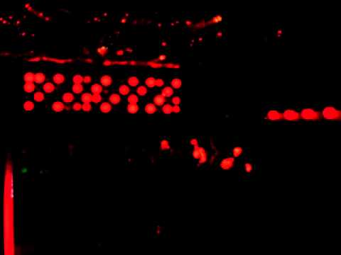 Nima Gorji live @ XS Club ( Iasi - Romania ) 18.09.2010  - part 3