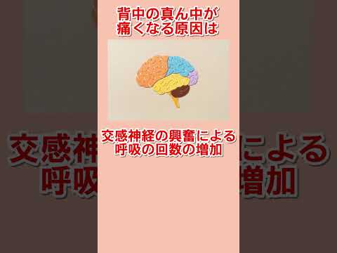 背中の真ん中(胸椎)の痛み:考えられる7つの原因とその対処法
