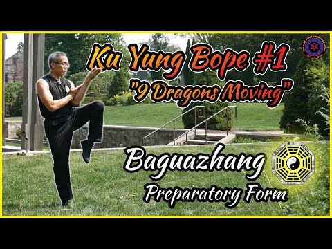 Baguazhang Short Form for Body Development - Strength, Balance, Flexibility - 9 Dragons Moving