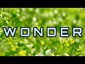 Wonder (Lyrics) - Hillsong UNITED