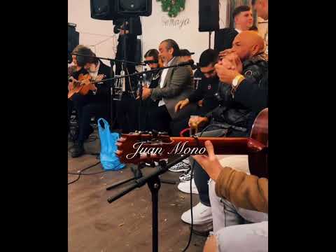 Canelita & potito & morocho por rumbas 2025