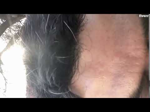 American male voice over - Best Voice Over service