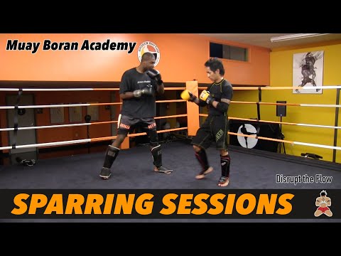 Martial Arts Sparring Ring Muay Boran 4: Disrupt Your Partner