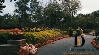 The Dallas Arboretum | Autumn at the Arboretum