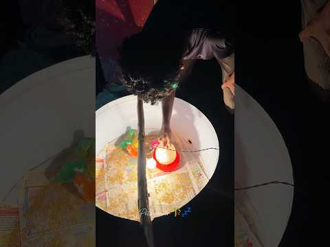 Intha koli kunjigalha ya da vangunom nu irruken😭⁉️#petscorner #petshorts #petlover #petlover #yt