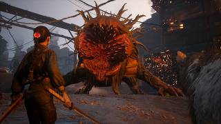 初期ステ縛り ノーダメ 腐食体ヌェ 過去戦 Beast of Reincarnation