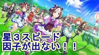 ウマ娘育成放送