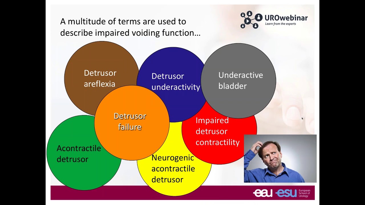Urowebinar: Underactive bladder - The story so far - YouTube