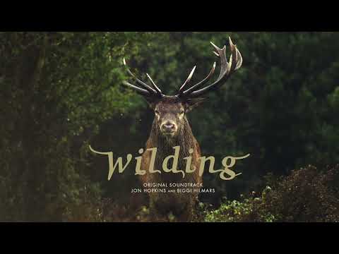 Jon Hopkins - Wilding Theme (Official Audio)