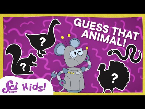 Can You Guess These Fall Animals with Jessi and Sam? | SciShow Kids Compilation