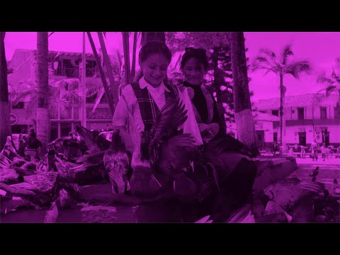 PARTY FAVOR: THE ISOLATION ALBUM - SOCIAL DISTANCE SUNSETS