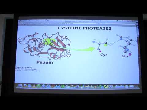 #13 Biochemistry Catalytic Mechanisms II Lecture for Kevin Ahern's BB 450/550