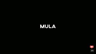 MERT - MULA (Hook Dauerschleife)