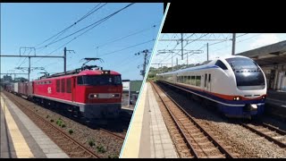 特急「しらゆき」、EF510RedThunderコンテナ貨物　信越本線鯨波駅