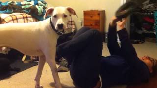 Sweet Life - Pittsburgh (Hey Jane by Spiritualized)