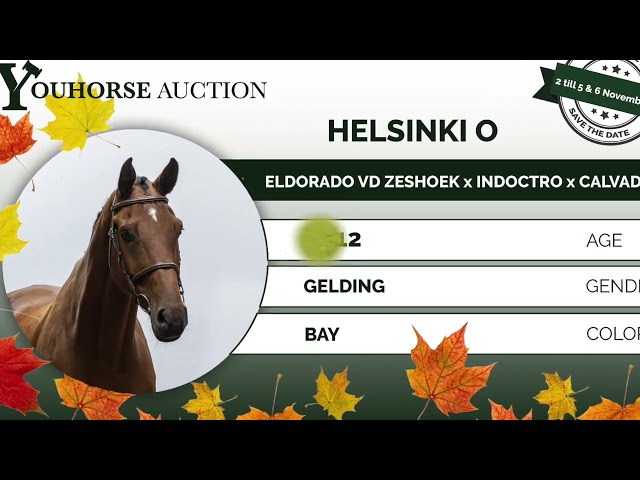 Helsinki showvideo