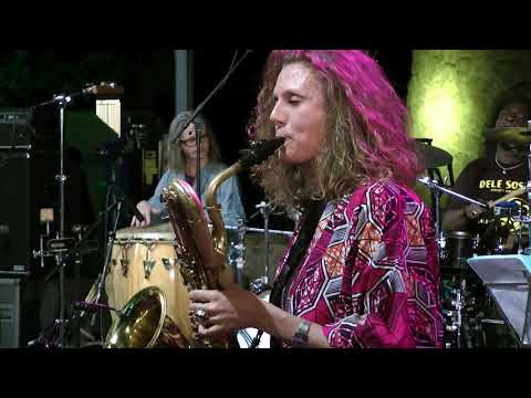 Dele Sosimi Afrobeat Orchestra  - To much information -  LIVE at Afrikafestival Hertme 2017